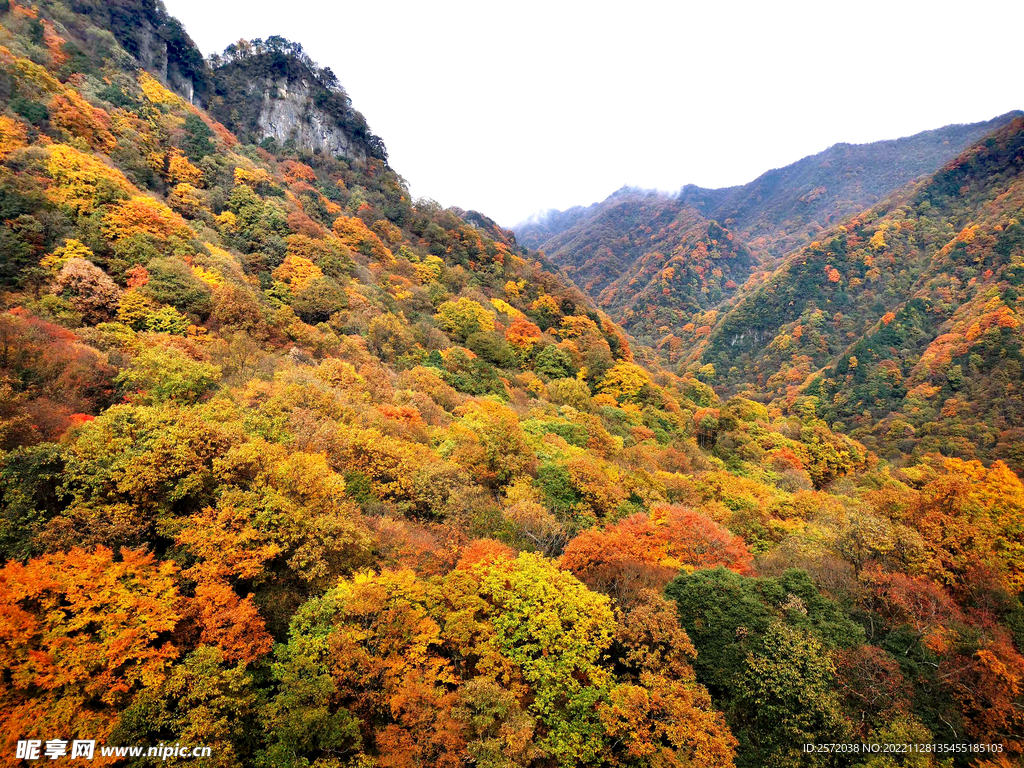 巴中光雾山风光