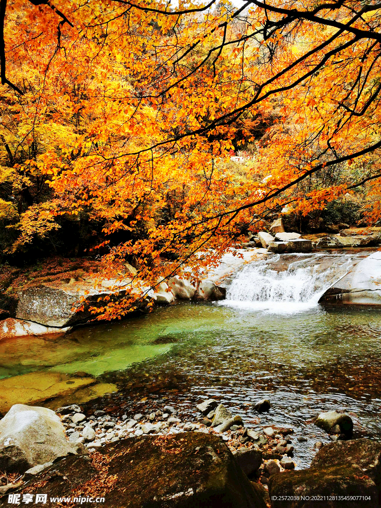 巴中光雾山风光