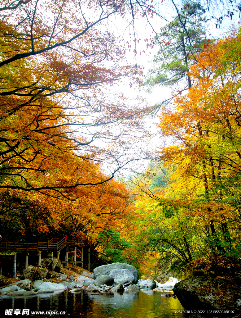 巴中光雾山风光