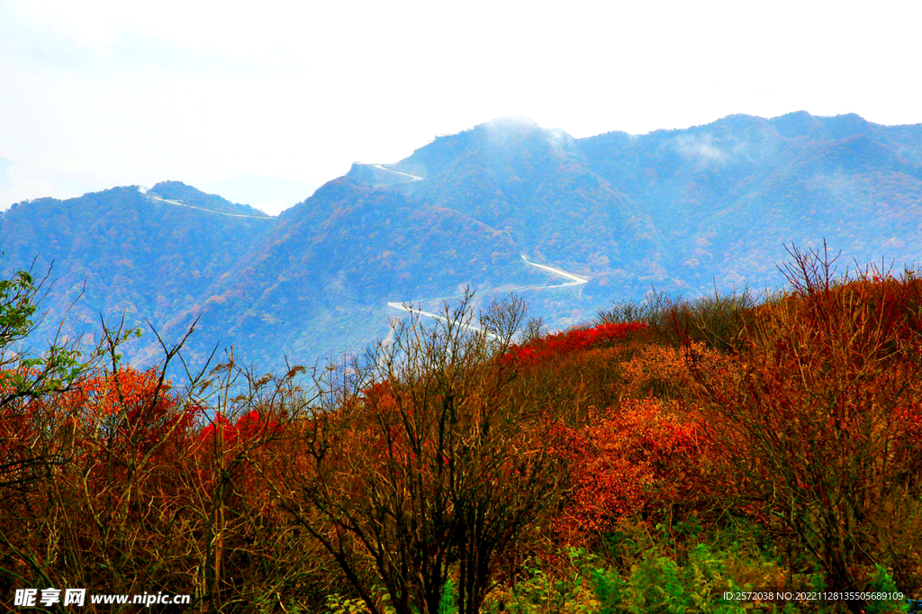 巴中光雾山风光