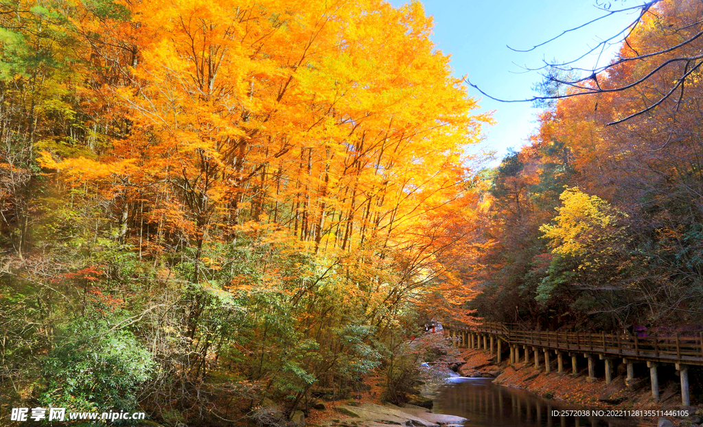 巴中光雾山风光