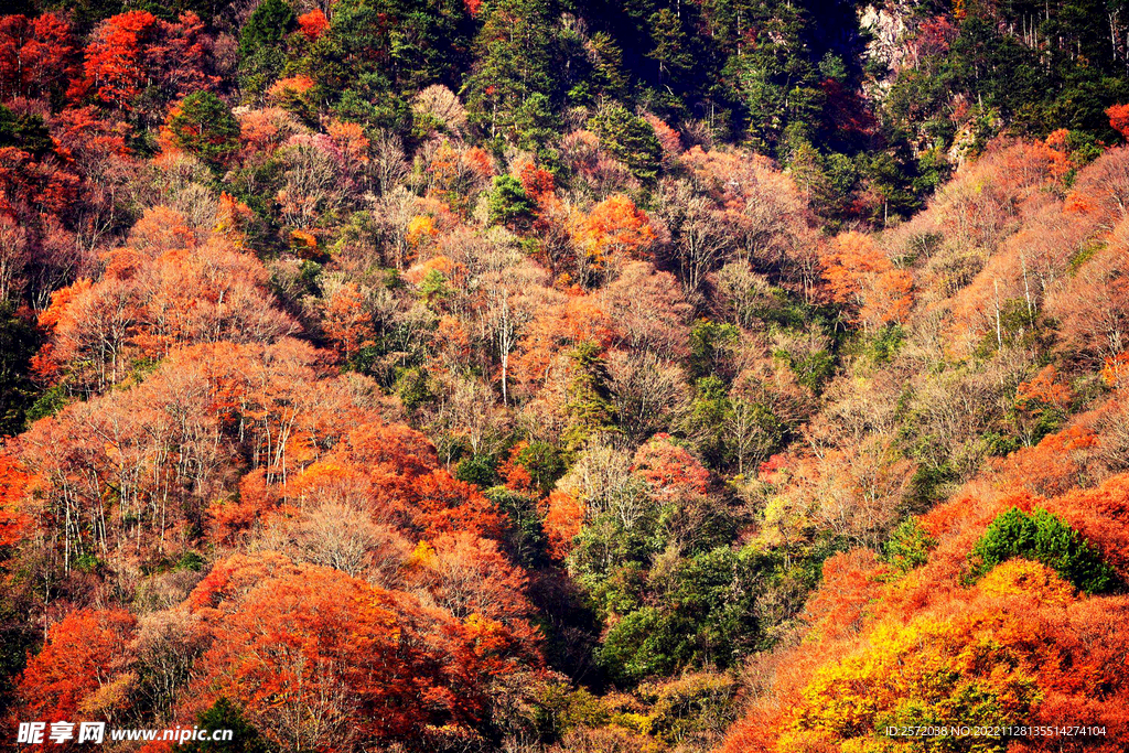 巴中光雾山风光