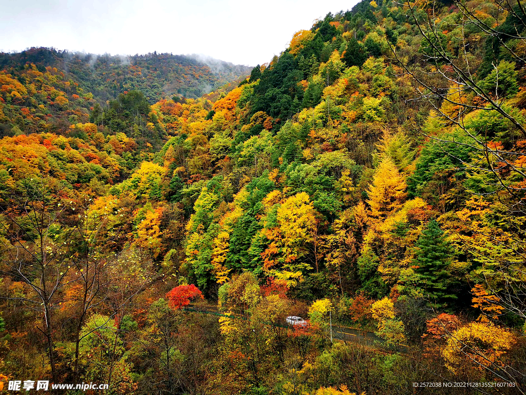 巴中光雾山风光