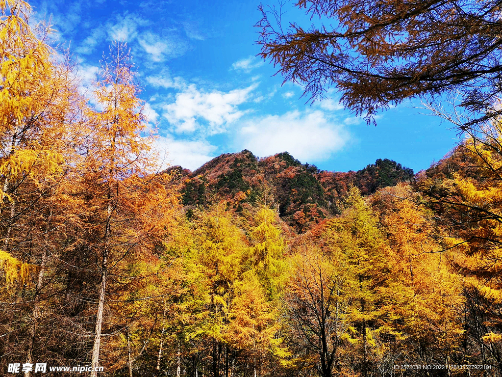 巴中光雾山风光