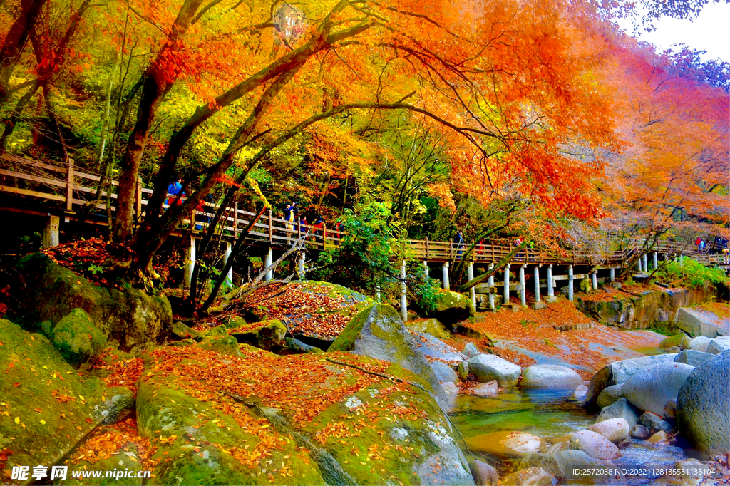 巴中光雾山风光