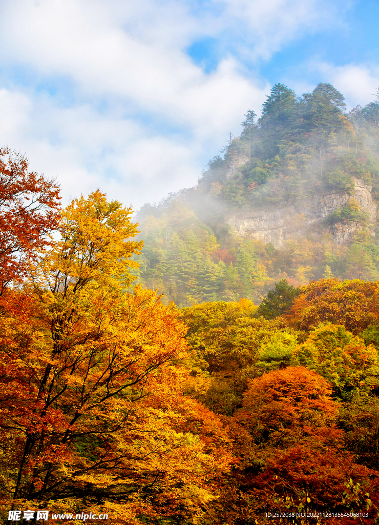 巴中光雾山风光