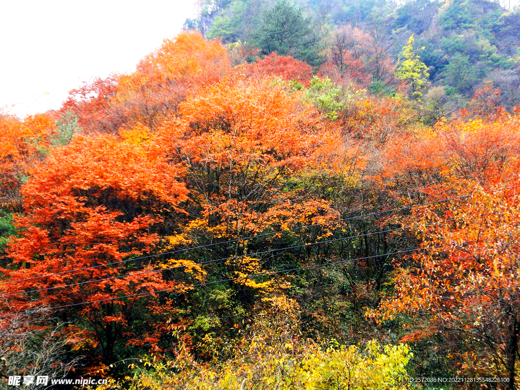 巴中光雾山风光