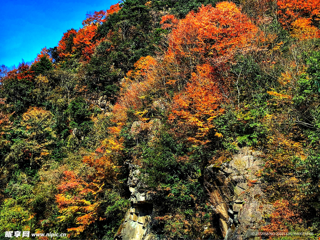 巴中光雾山风光