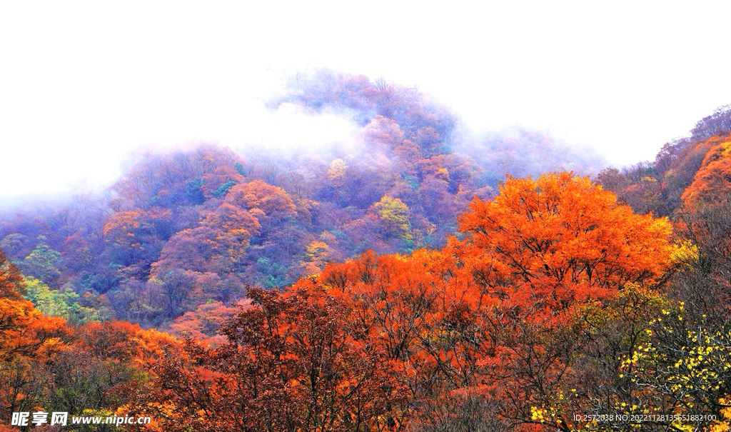 巴中光雾山风光