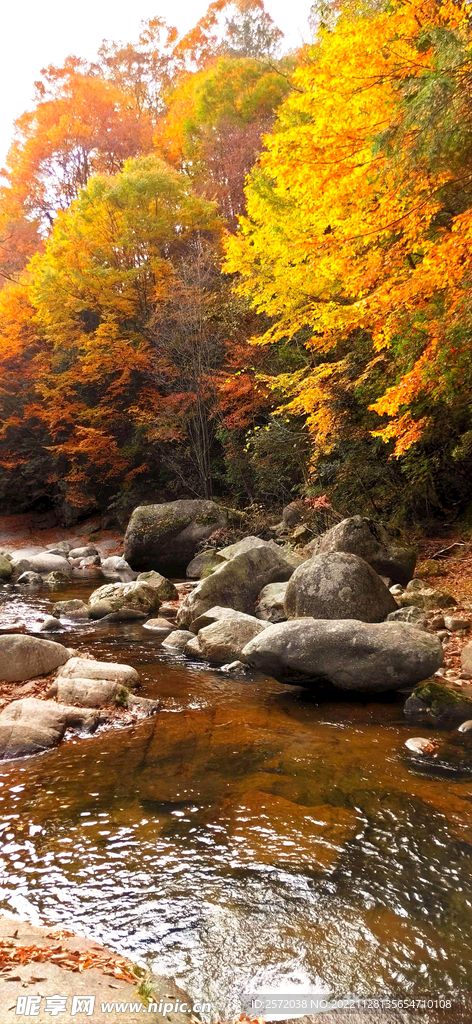 巴中光雾山风光