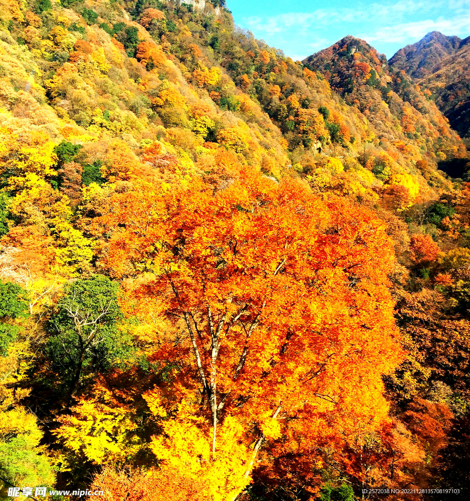 巴中光雾山风光