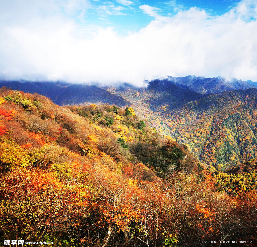 巴中光雾山风光