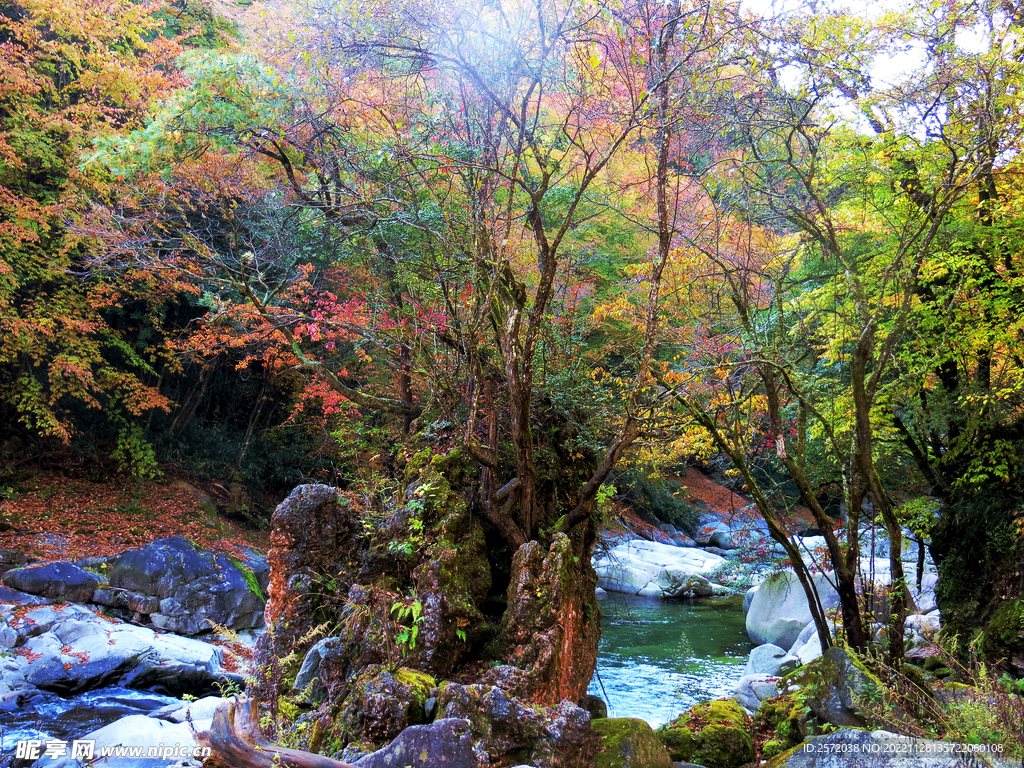 巴中光雾山风光