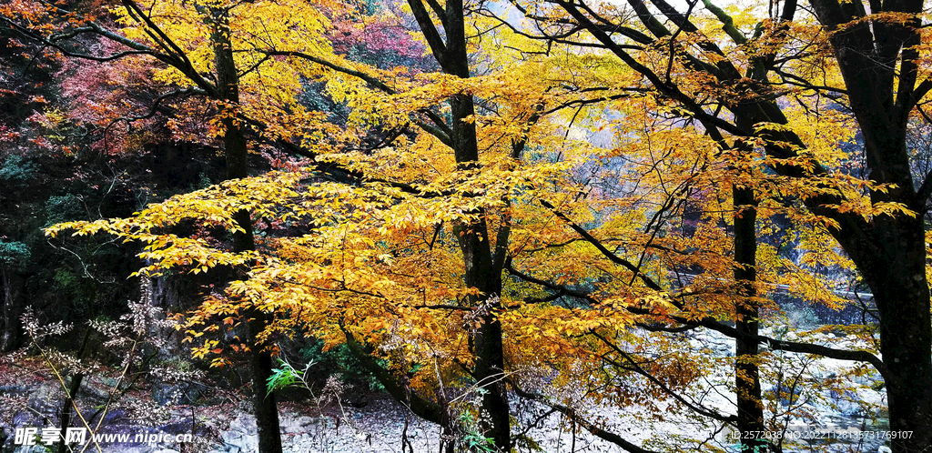 巴中光雾山风光