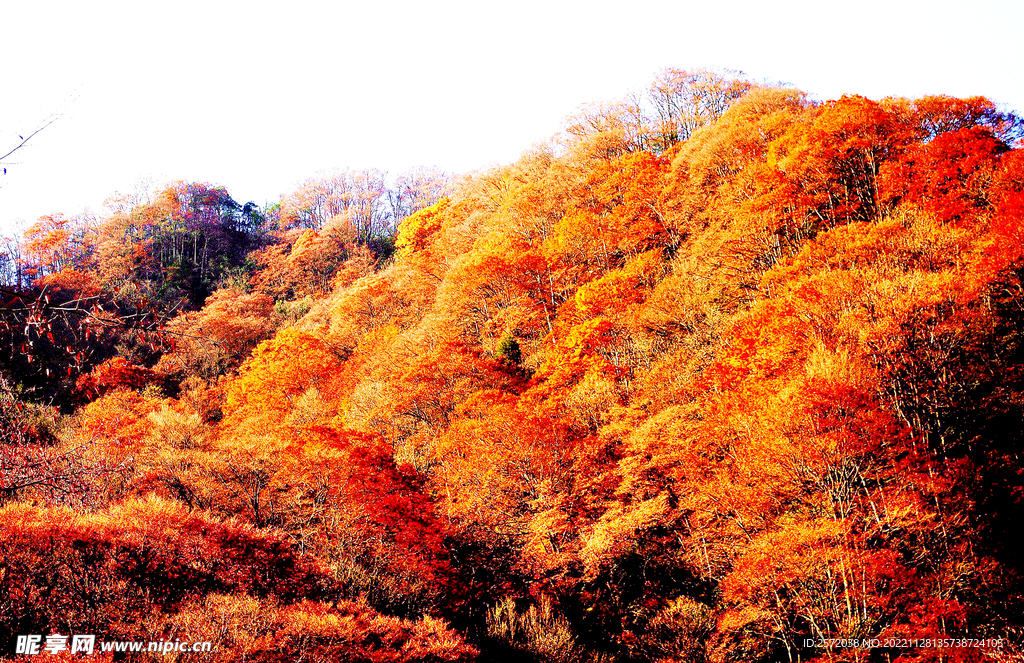 巴中光雾山风光