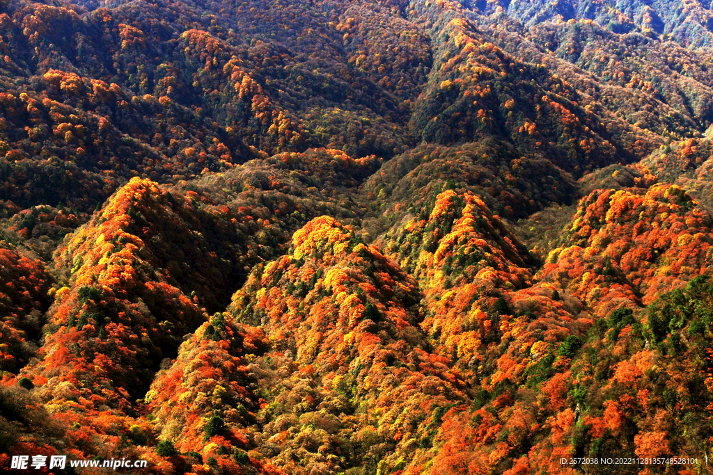 巴中光雾山风光