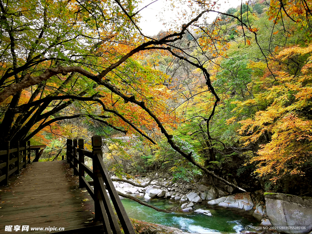 巴中光雾山风光