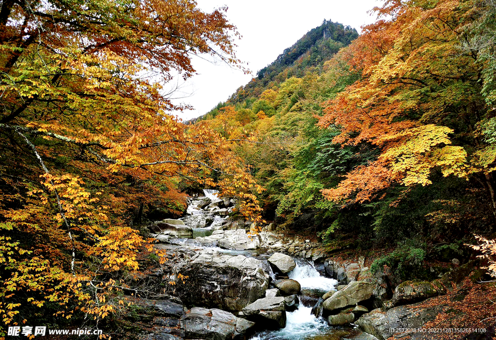 巴中光雾山风光