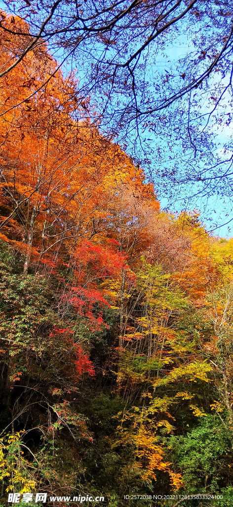 巴中光雾山风光