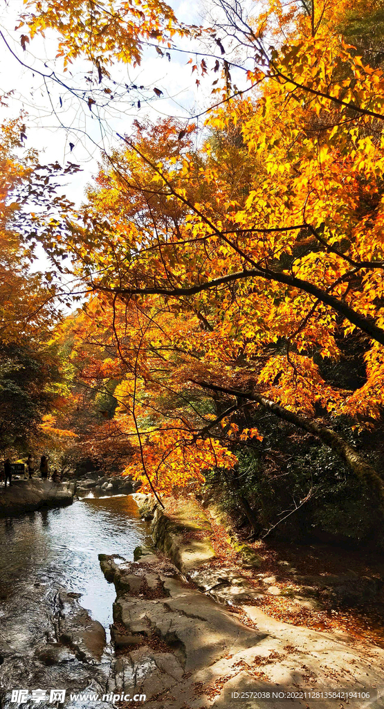 巴中光雾山风光