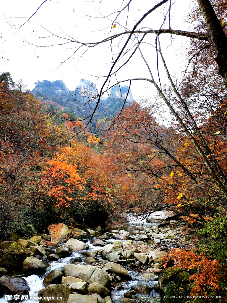 巴中光雾山风光