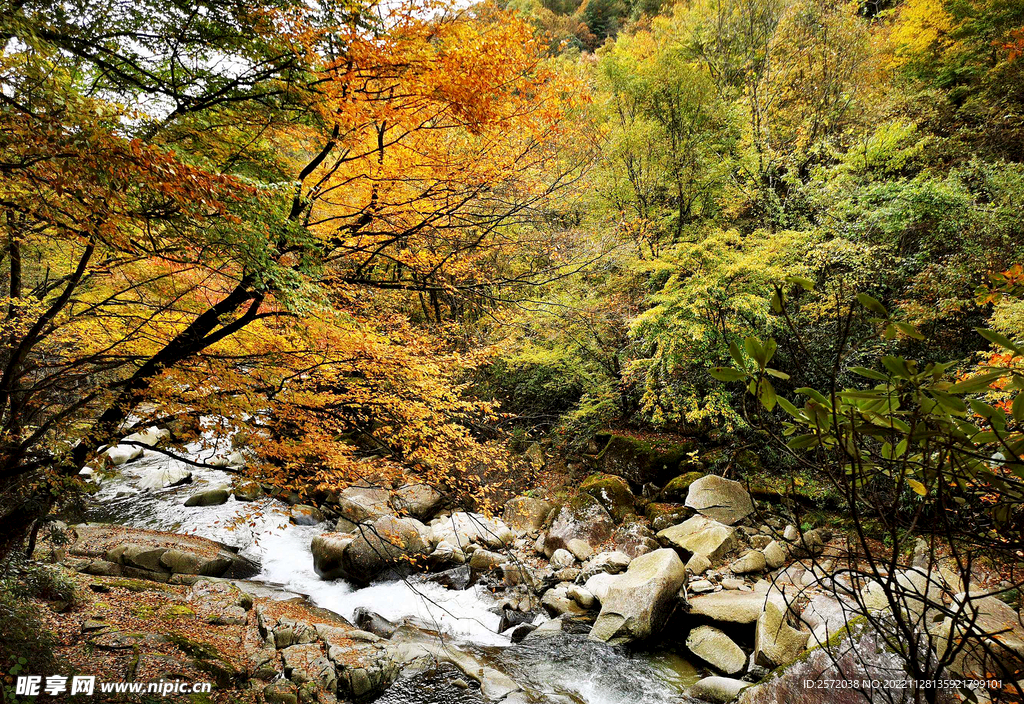 巴中光雾山风光