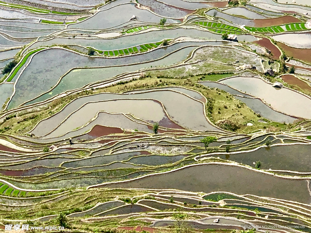 元阳哈尼梯田风光