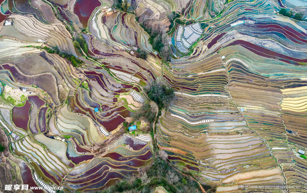 元阳哈尼梯田风光