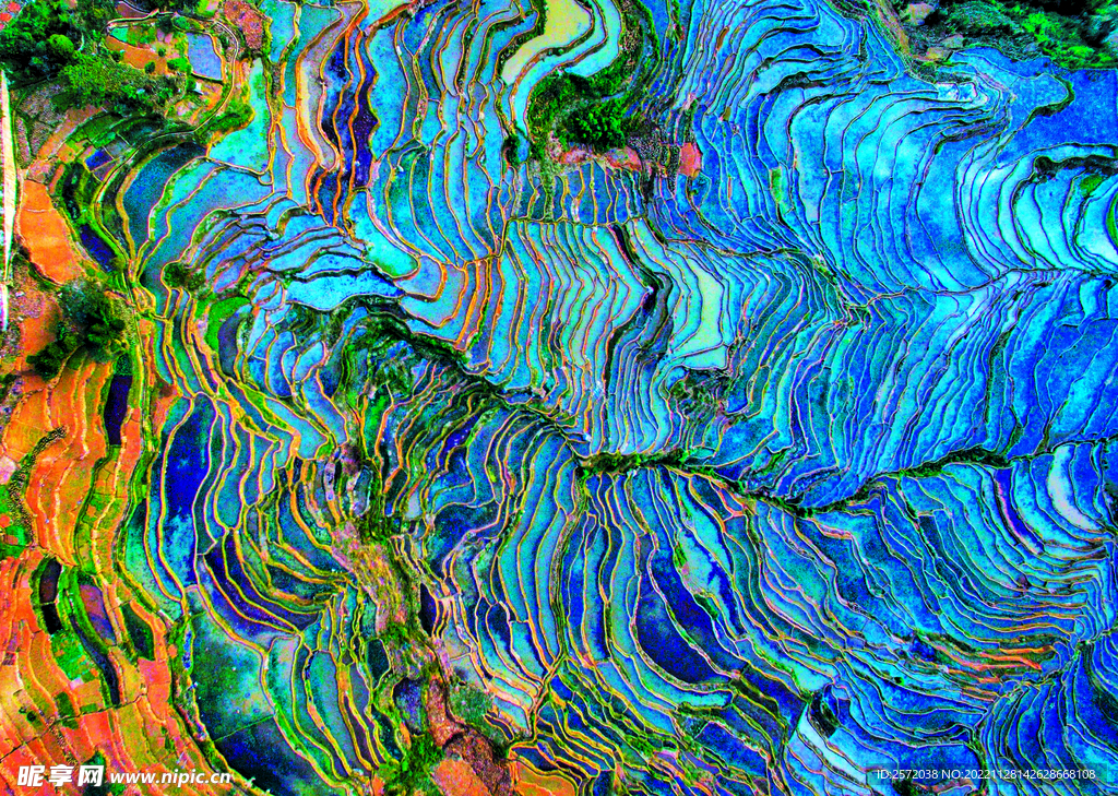 元阳哈尼梯田风光