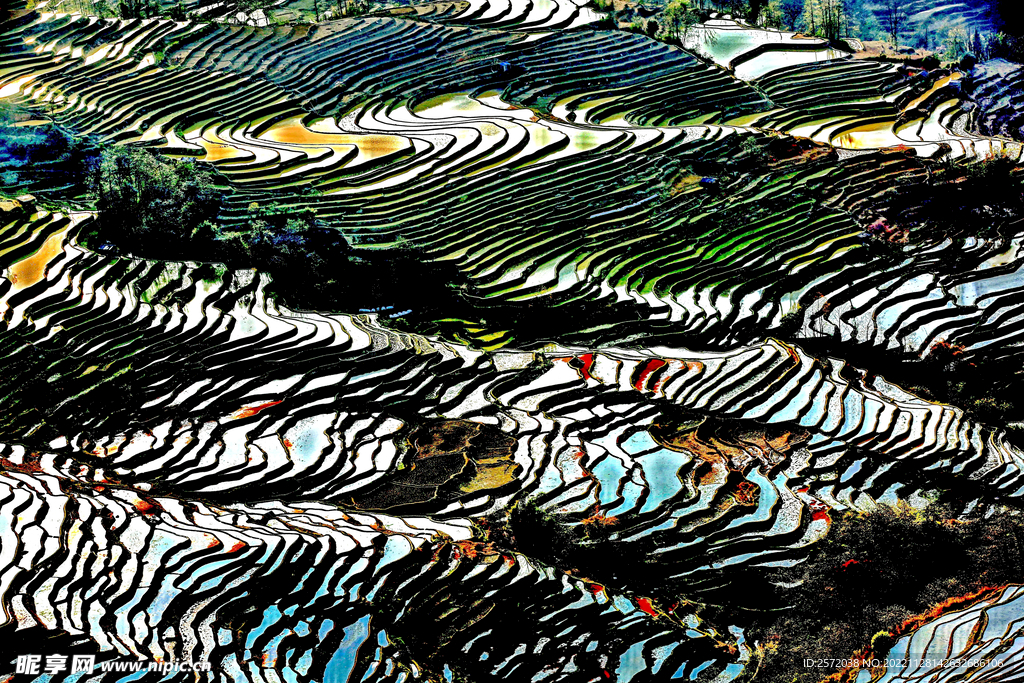 元阳哈尼梯田风光