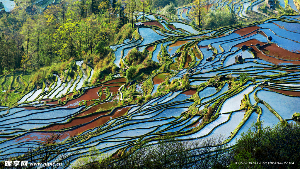 元阳哈尼梯田风光