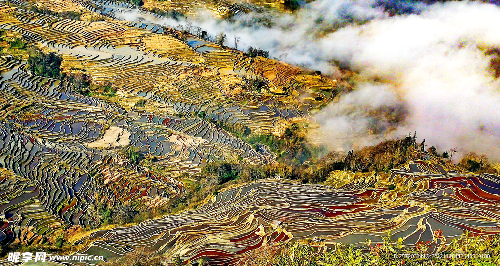 元阳哈尼梯田风光