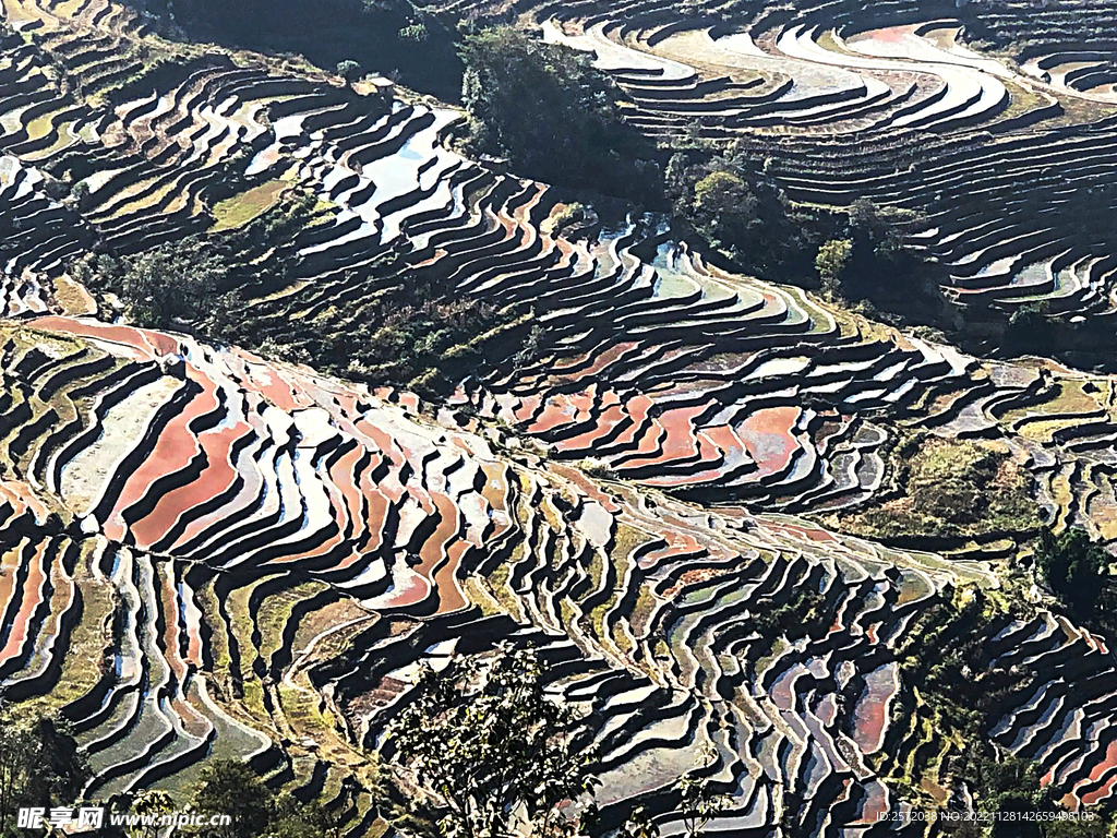 元阳哈尼梯田风光