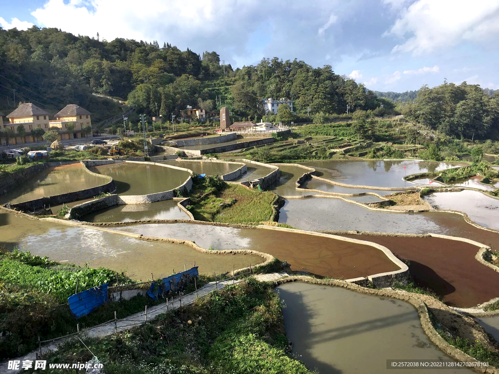 元阳哈尼梯田风光