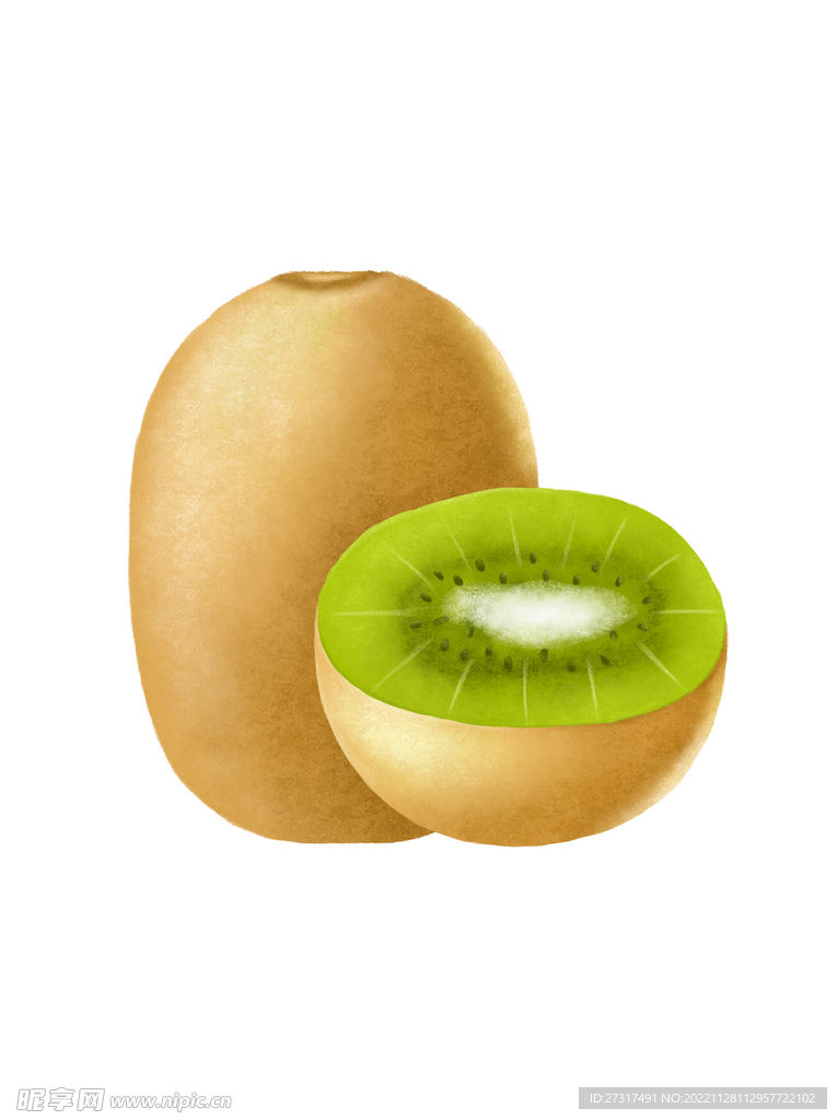 奇异果水果手绘PS分层插画