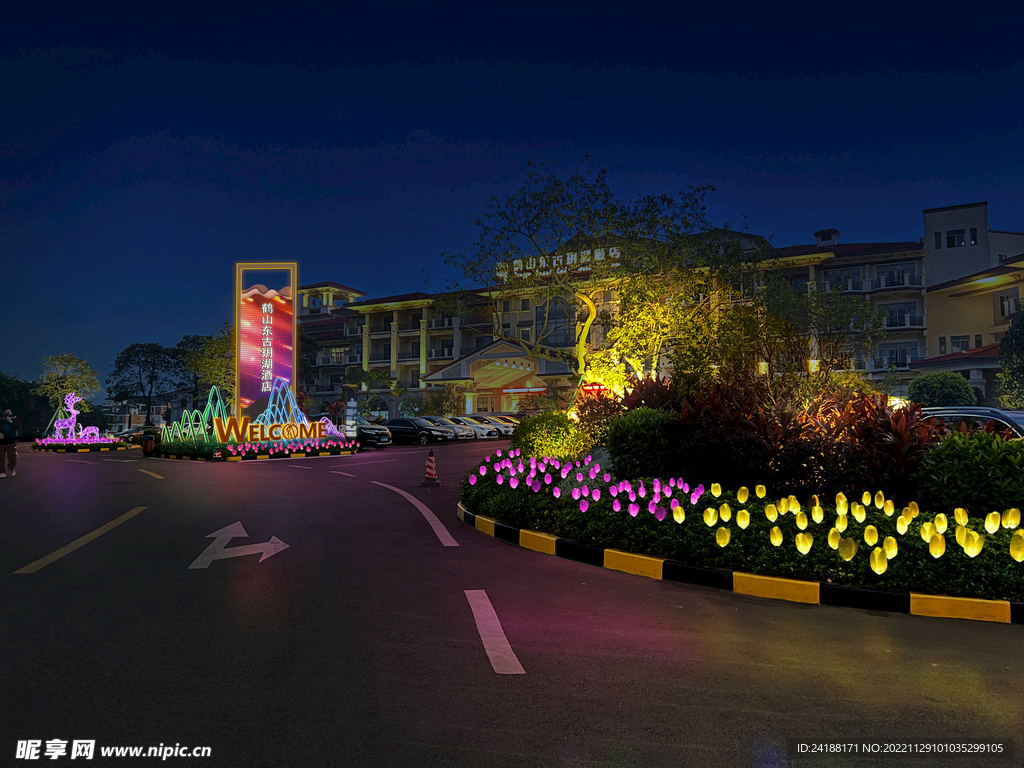 LED插地灯 春节亮化