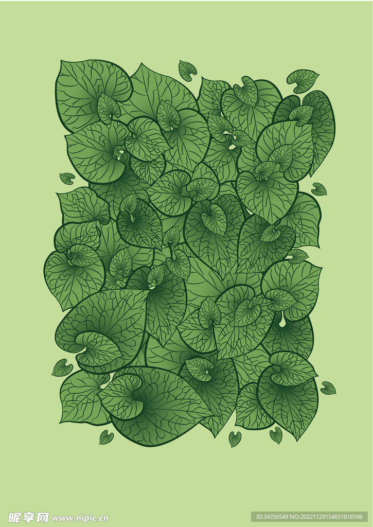矢量绿叶