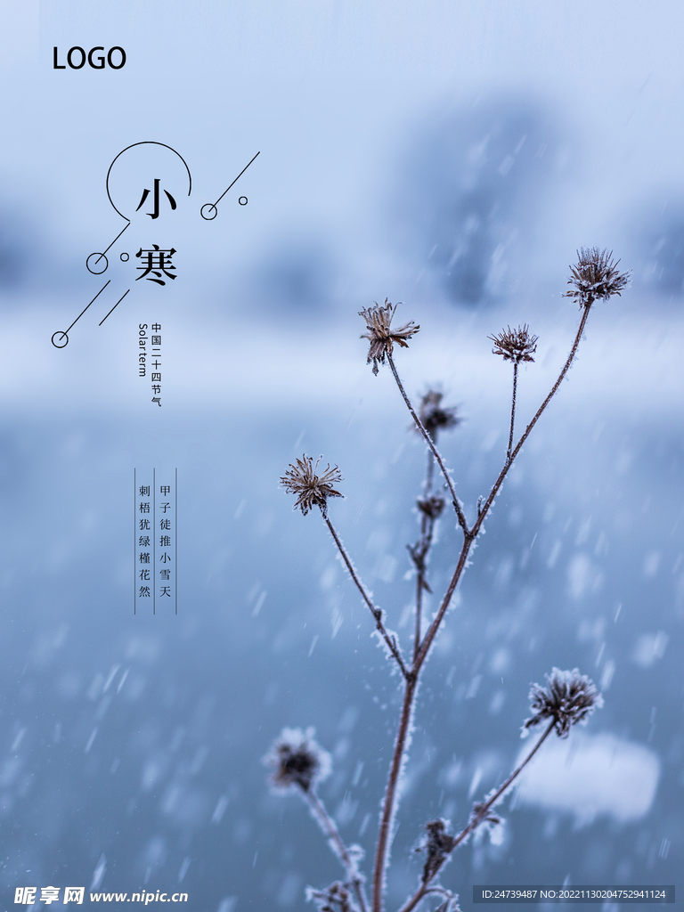 小寒海报