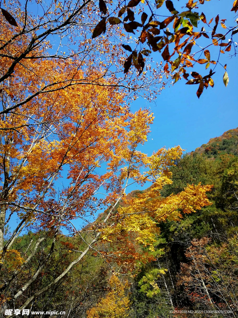 巴中光雾山风光