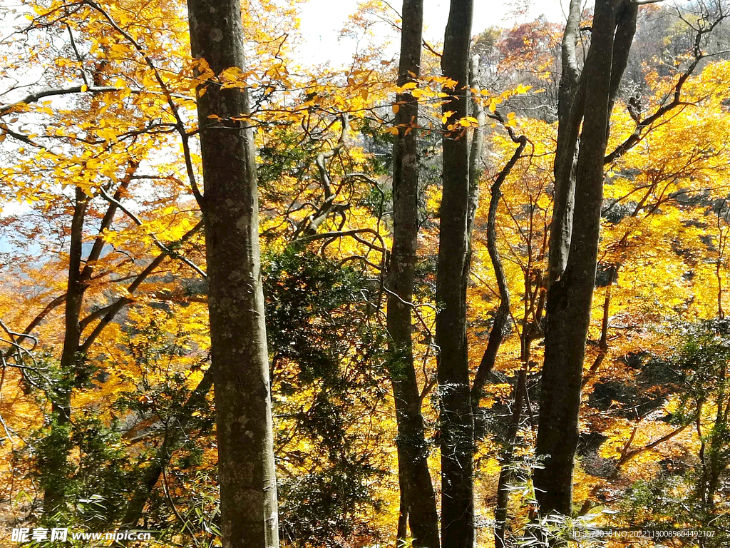 巴中光雾山风光