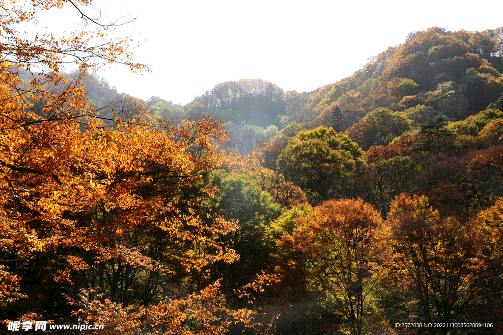 巴中光雾山风光