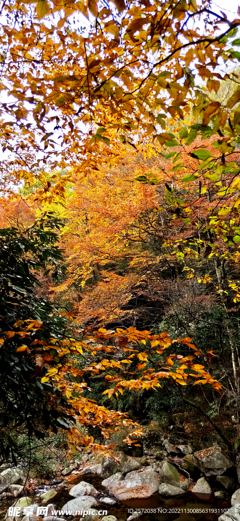 巴中光雾山风光
