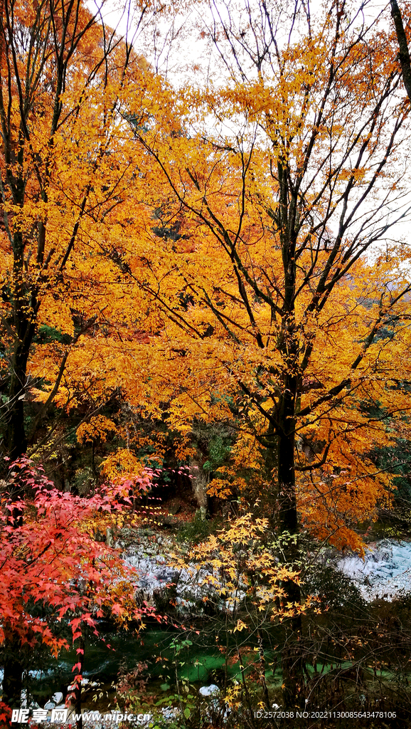 巴中光雾山风光