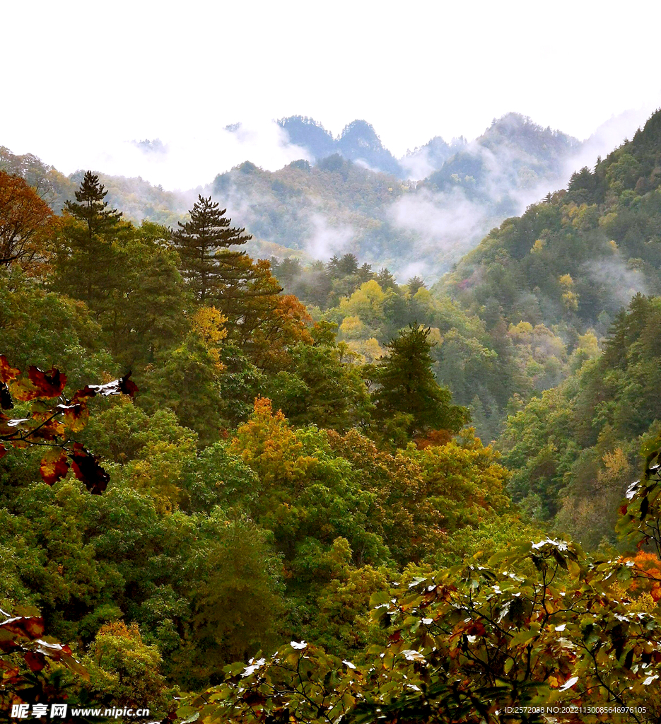 巴中光雾山风光