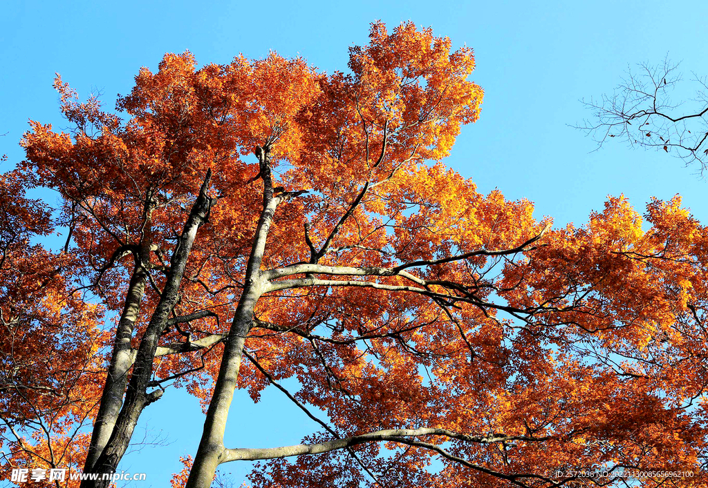巴中光雾山风光