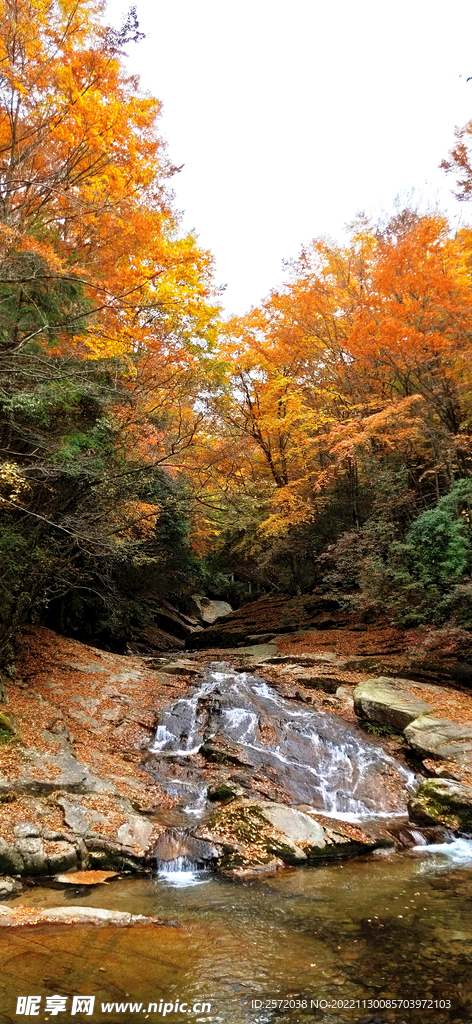 巴中光雾山风光