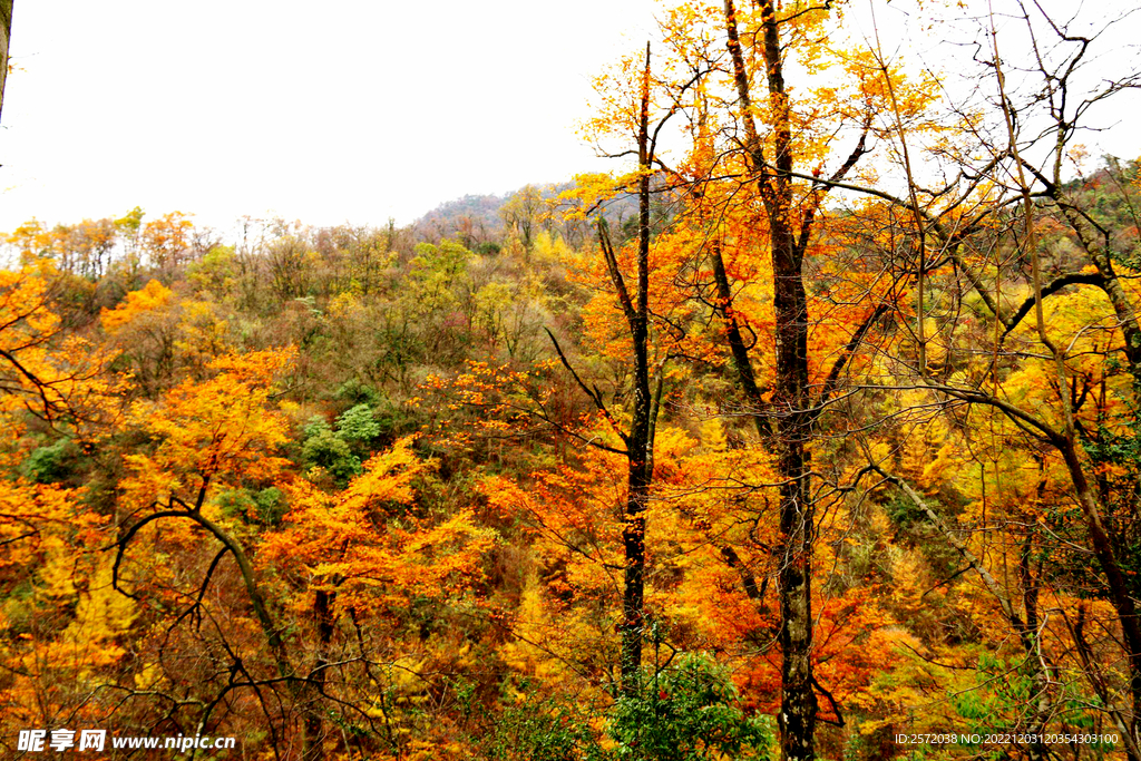 巴中光雾山风光