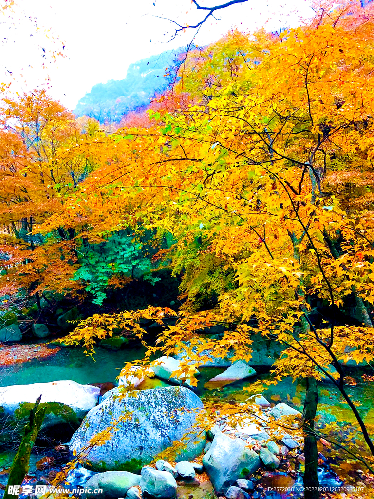 巴中光雾山风光