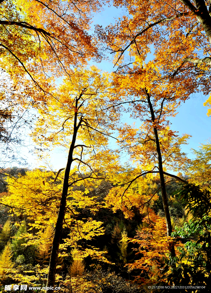 巴中光雾山风光