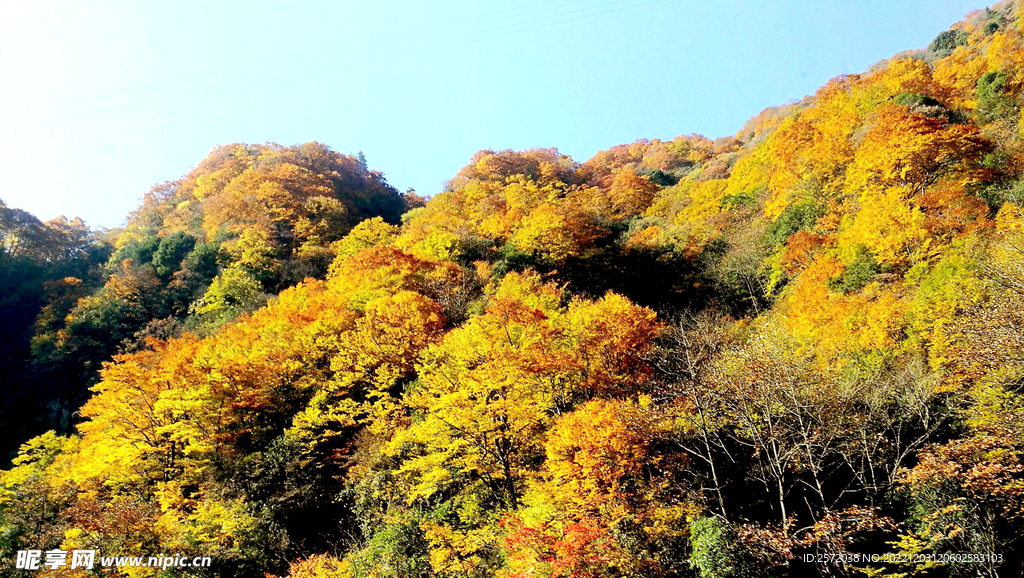 巴中光雾山风光